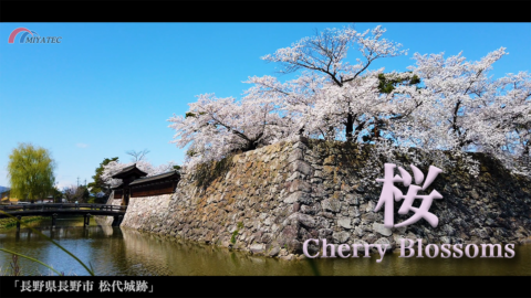 4K）桜咲く松代城〜長野県長野市松代町〜