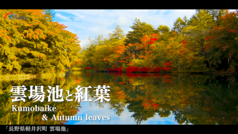 4K）雲場池の紅葉〜長野県軽井沢町〜