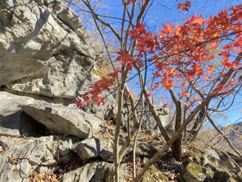 立処山（群馬県神流町）で撮影してきました