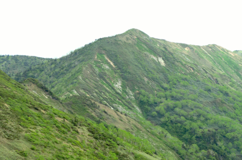 撮影で山に！長野県と群馬県、新潟県の境にある白砂山へ